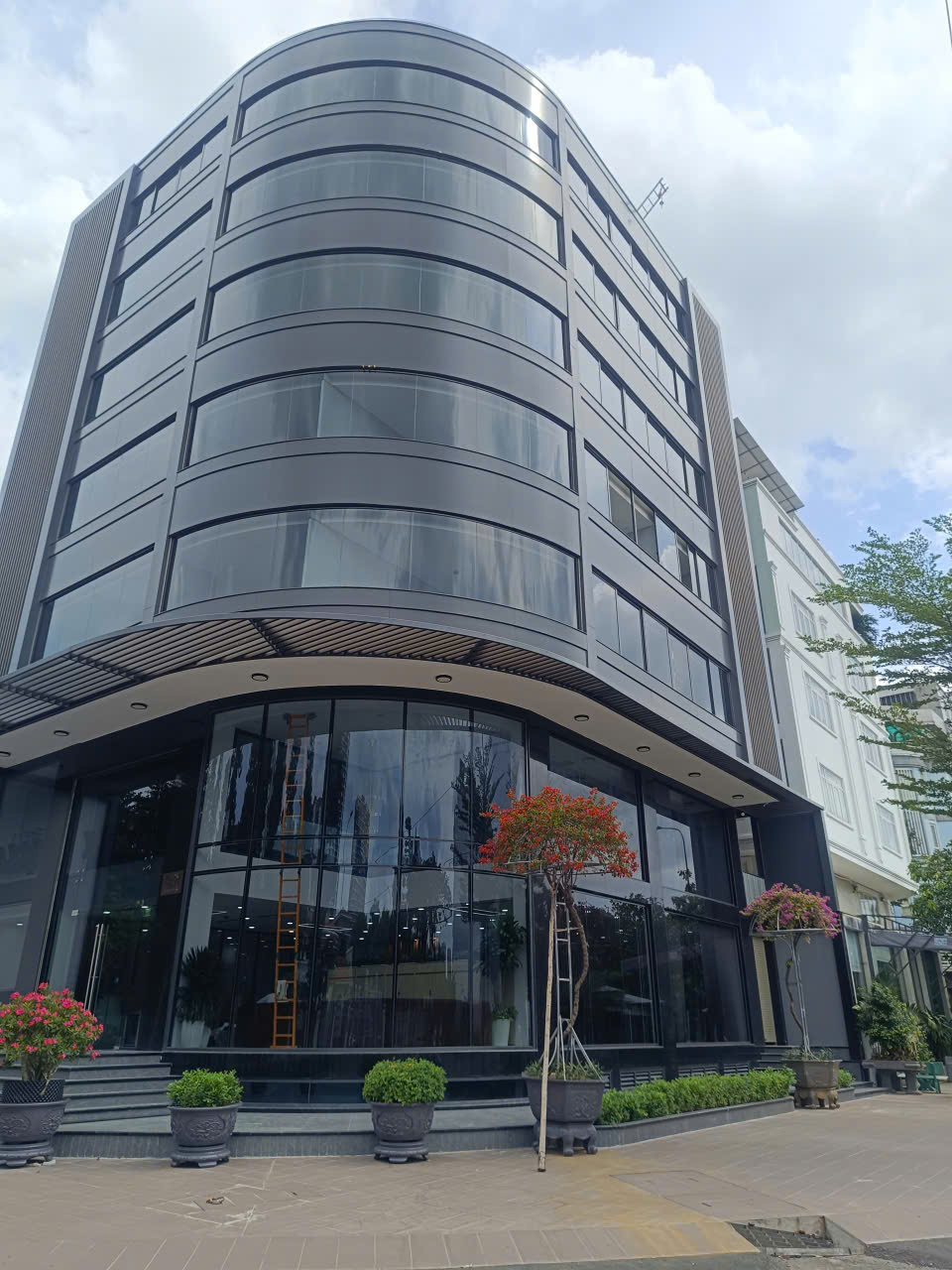 lĩnh vực hoạt động